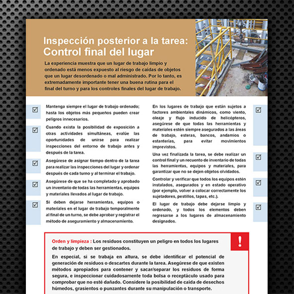 Inspeccion-posterior-a-la-tarea-Control-final-del-lugar.pdf