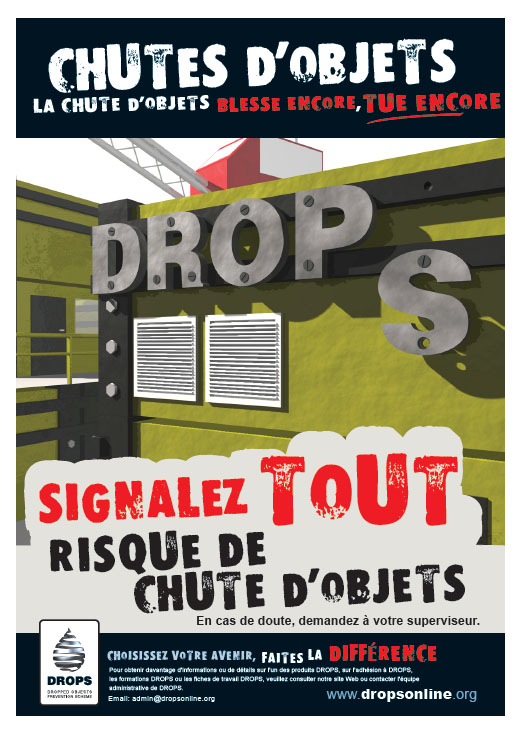 DROPS-Fallen-Francais.pdf