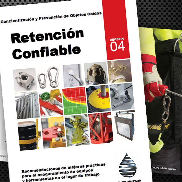 ReliableSecuringREV04-ESPANOL.pdf