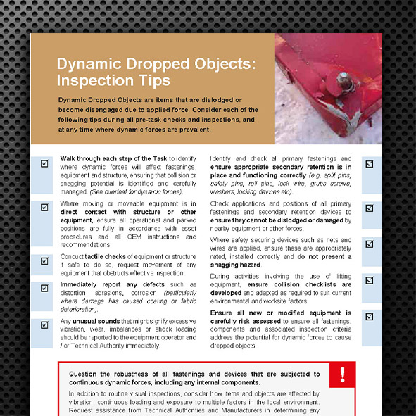 Dynamic-Dropped-Object-Inspections.pdf