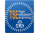 TSE