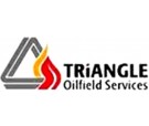 Triangle logo