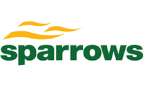 Sparrows